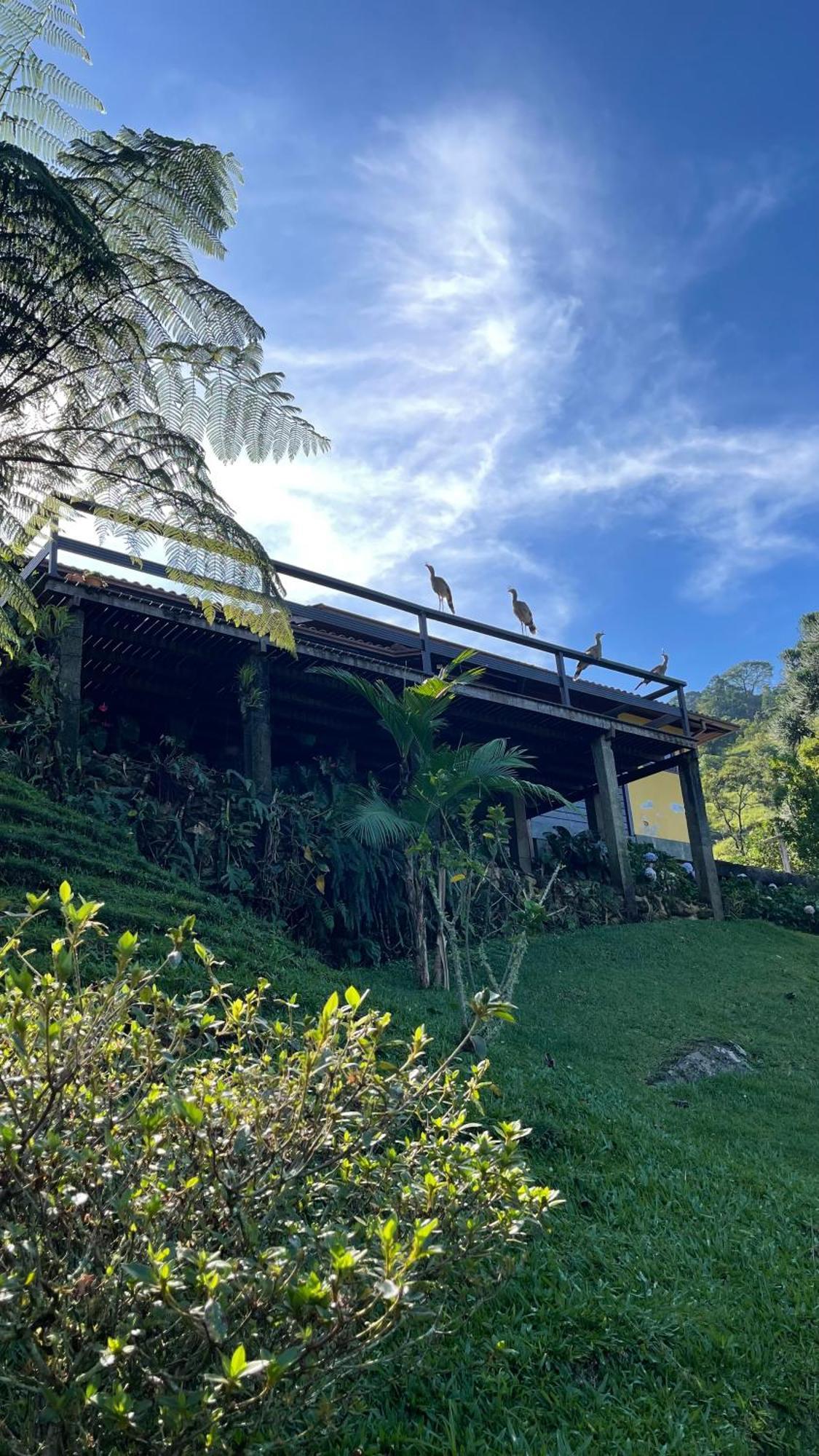 Sitio Com Piscina Natural E Cascata, Com Linda Vista Em Lumiar. Exterior foto