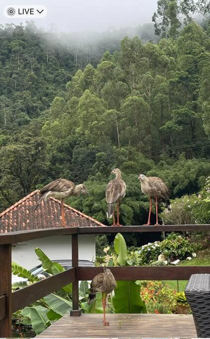 Sitio Com Piscina Natural E Cascata, Com Linda Vista Em Lumiar. Exterior foto