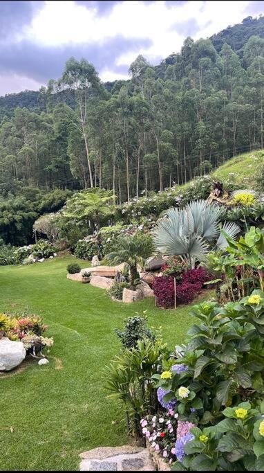 Sitio Com Piscina Natural E Cascata, Com Linda Vista Em Lumiar. Exterior foto